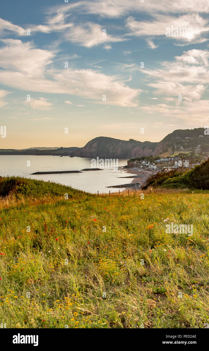 High Peak, Sidmouth, Devon, UK Stock Photo Alamy