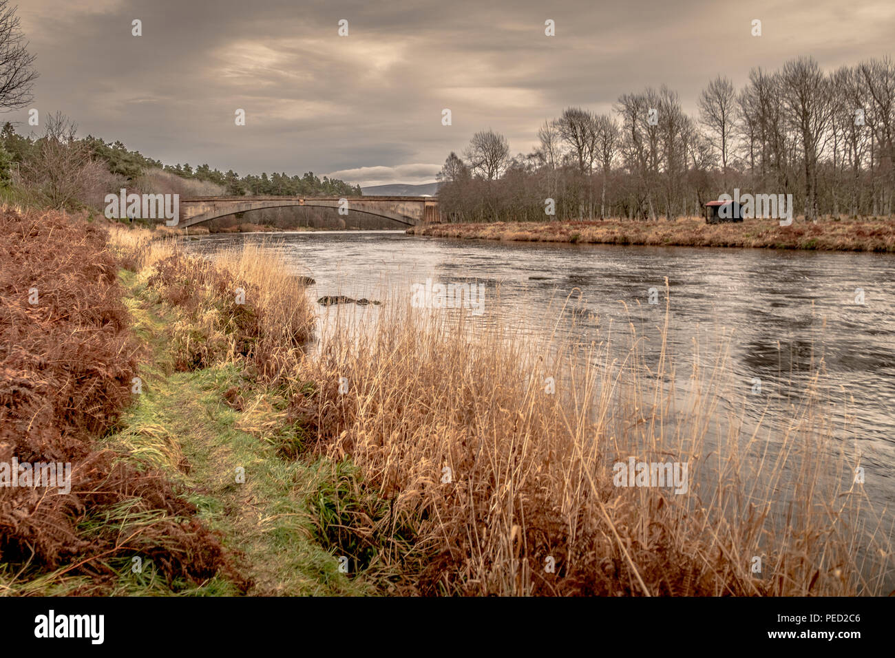 A view of the River Spey outside Grantown on Spey in Scotland Stock