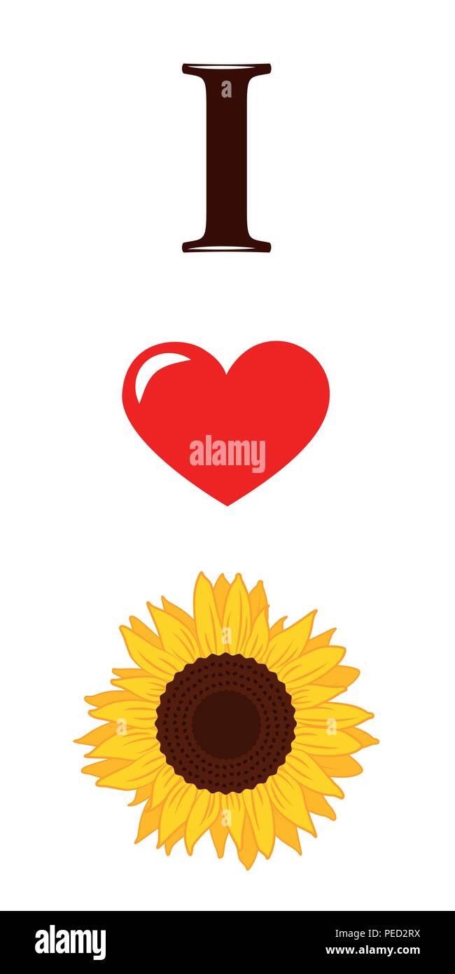 I love sunflowers red heart vector illustration EPS10 Stock Vector