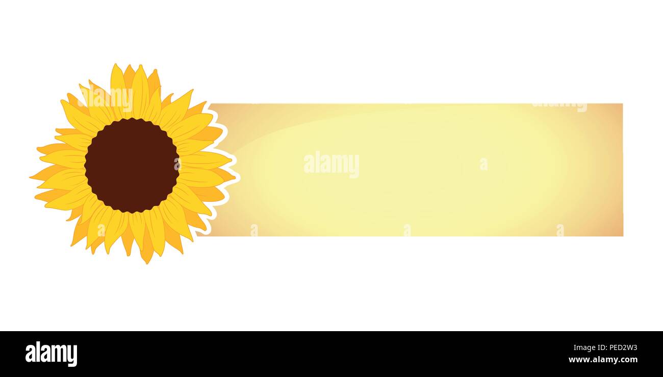beautiful yellow Sunflower bloom note vector illustration EPS10 Stock Vector
