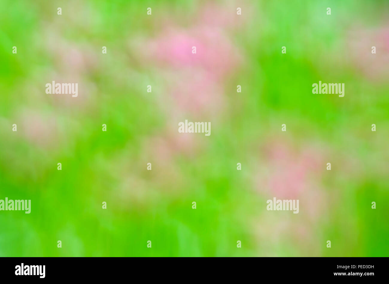Blurred Pink Floral field background. Blurred Nature Background Stock