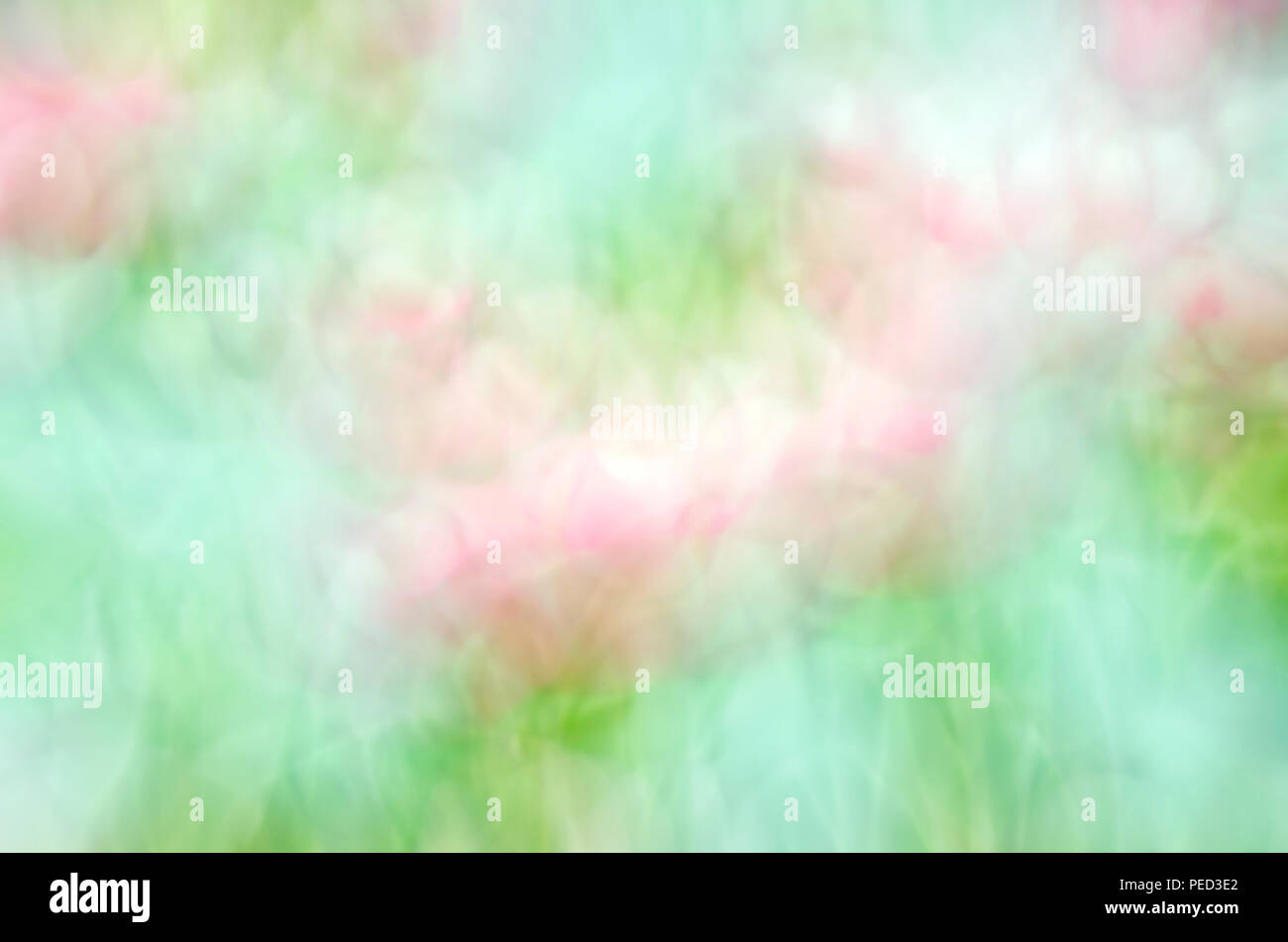 Blurred Pink Floral field background. Blurred Nature Background Stock