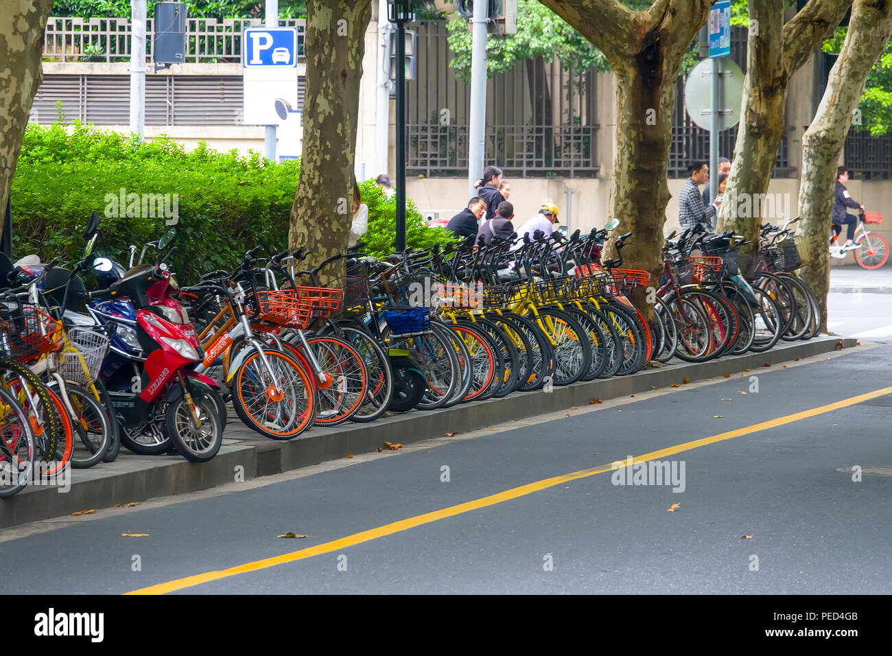Bicycles French Concession shopping and eating area of Shanghai China Asia Stock Photo