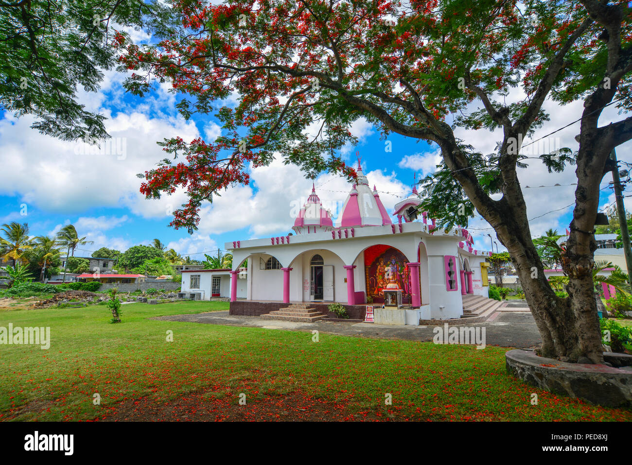 Port Louis, Mauritius - Jan 10, 2017. A Hindu temple with flamboyant tree in Port Louis, Mauritius. According to the 2011 Hinduism is the major religi Stock Photo