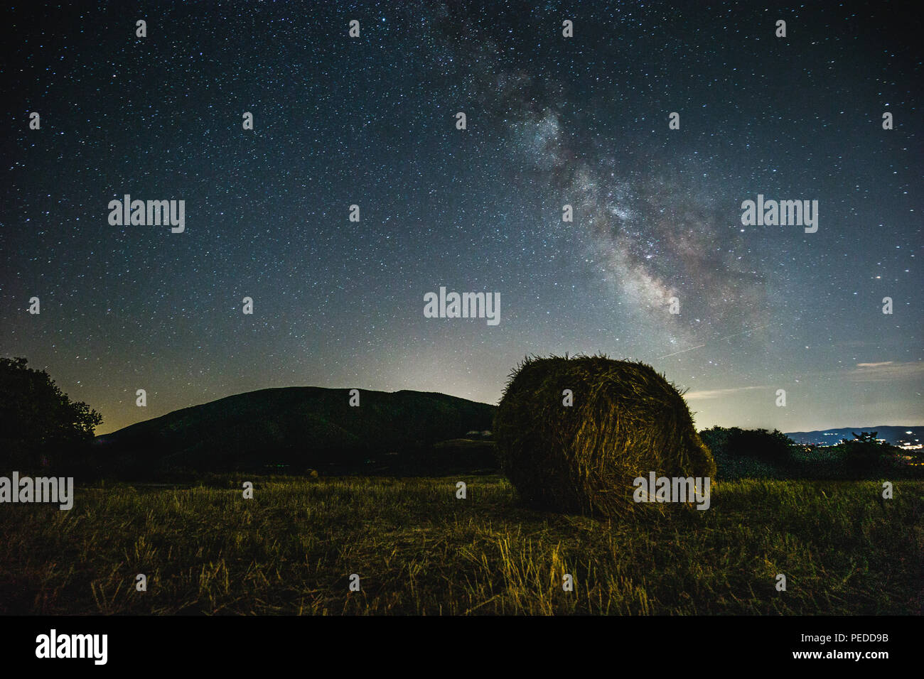 Beautiful view of starred night sky with milky way over a cultivated ...