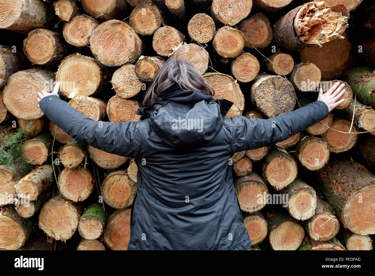 A woman with arms outstretched in front of a stack of softwood logs. Stock Photo