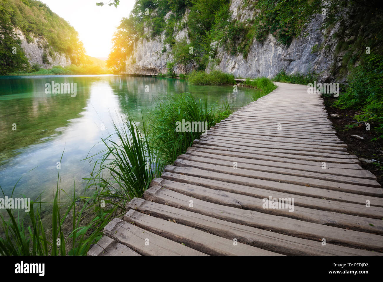 Wooden path across beautiful lake in sunny green forest Stock Photo - Alamy