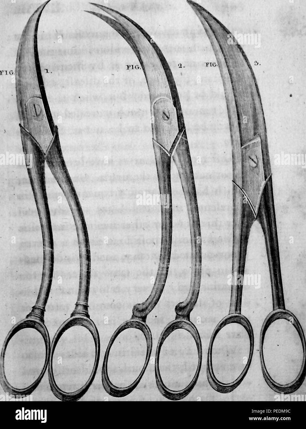 Black and white illustration depicting three surgical scissors recommended for cutting the uvula, from the volume 'A System of Surgery, ' authored by Benjamin Bell, and published in Edinburgh for Charles Elliot, 1825. Courtesy Internet Archive. () Stock Photo
