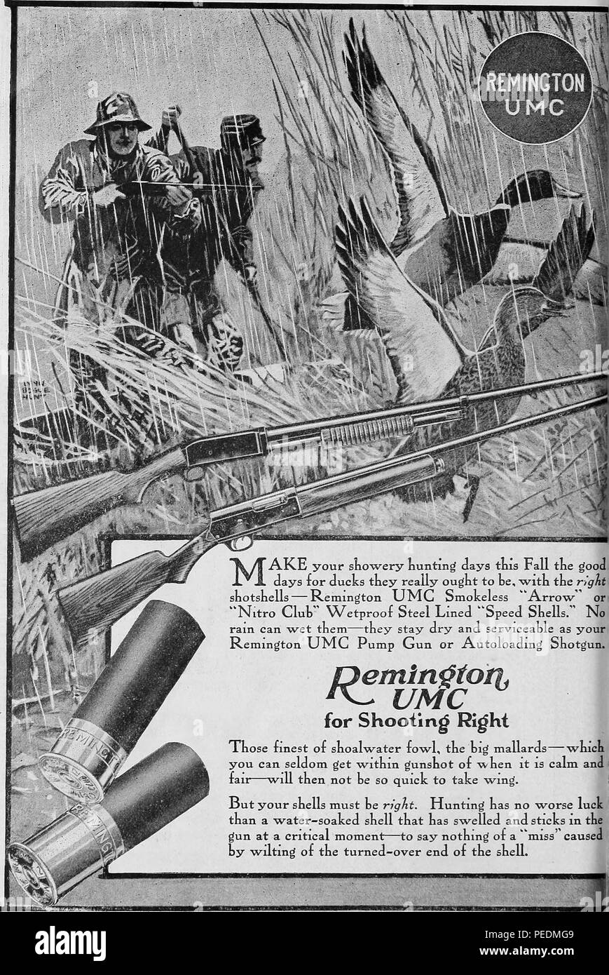Black and white print advertisement, showing the left half of a two page campaign for Remington's UMC shotgun and 'wetproof steel lined shot shells, ' with an image of a rainy field, with two UMC Remington guns in the foreground, a male and female Mallard duck (Anas platyrhynchos) taking flight, and two hunters in the background from the volume 'The Game Breeder, ' authored by Dwight Williams Huntington, and published in New York by The Game Conservation Society, 1918. Courtesy Internet Archive. () Stock Photo