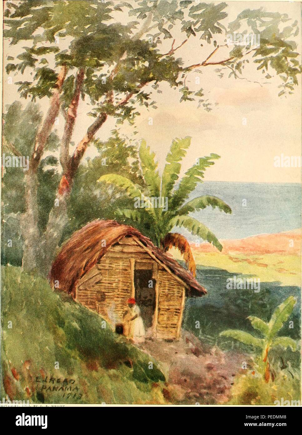 Color illustration depicting a small, Panamanian house or wooden hut, with a palm leaf roof, a woman cooking in front of the door, tropical foliage in the foreground and background, and the ocean at right midground, signed by EI Read, 1913. Courtesy Internet Archive. () Stock Photo