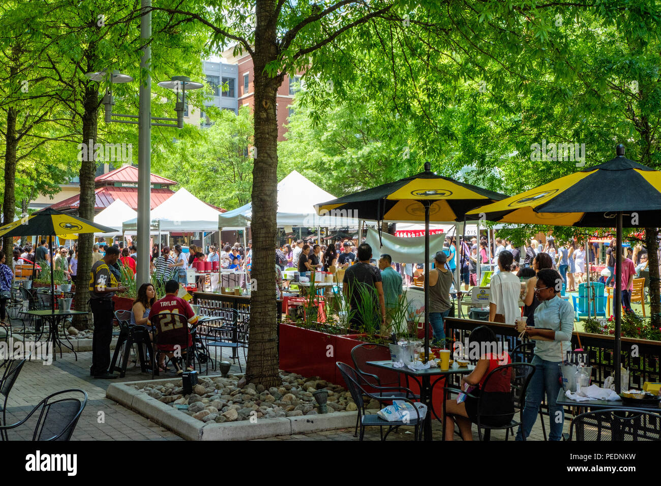 Taiwan Bubble Tea Festival, Rockville Town Square, 30 Maryland Avenue