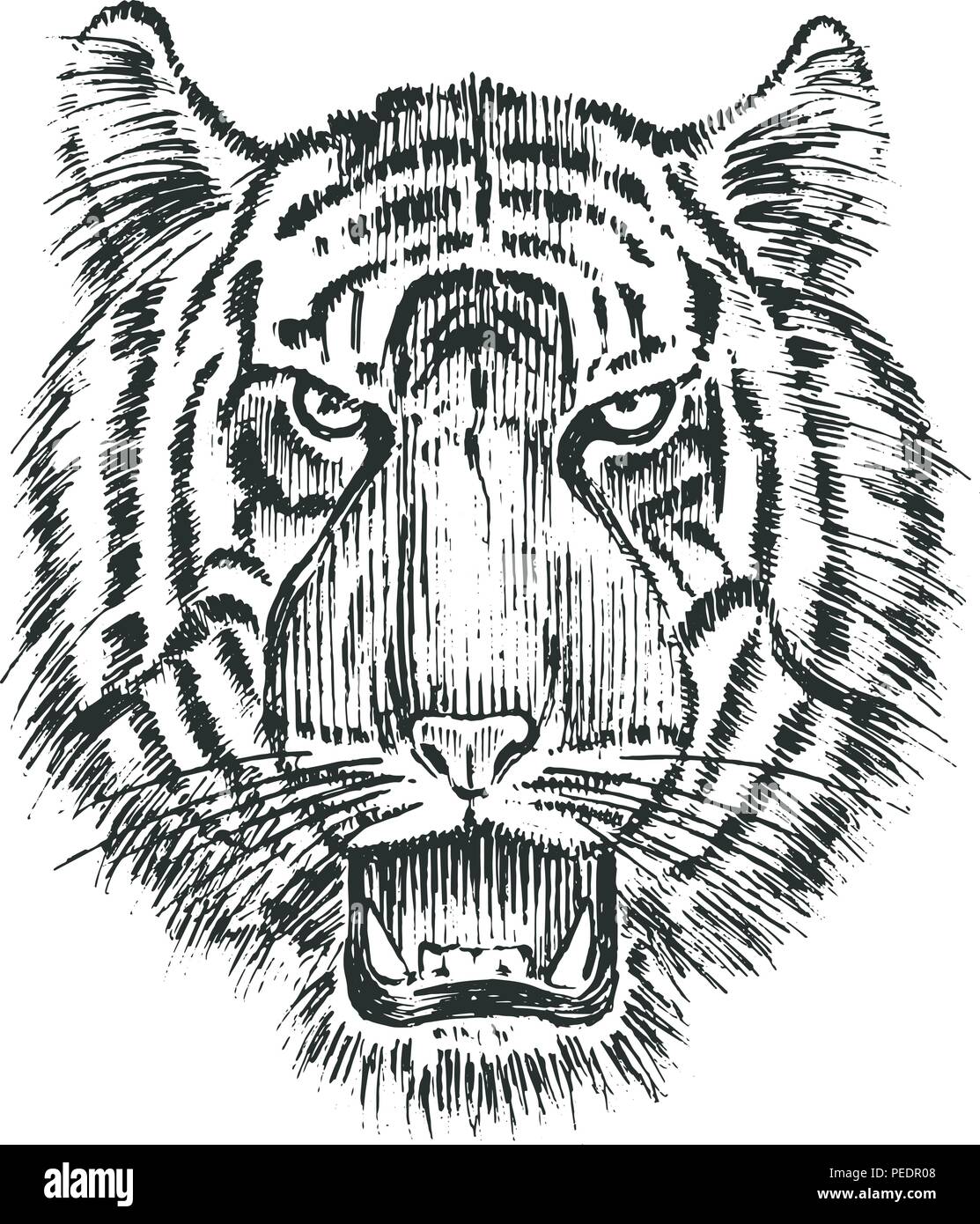 Japanese Wild Tiger. Asian Animal cat. profile of head or face. Tattoo  artwork. Engraved hand drawn in old vintage sketch. Vector surreal  illustration, badges, print for t-shirt Stock Vector Image & Art -