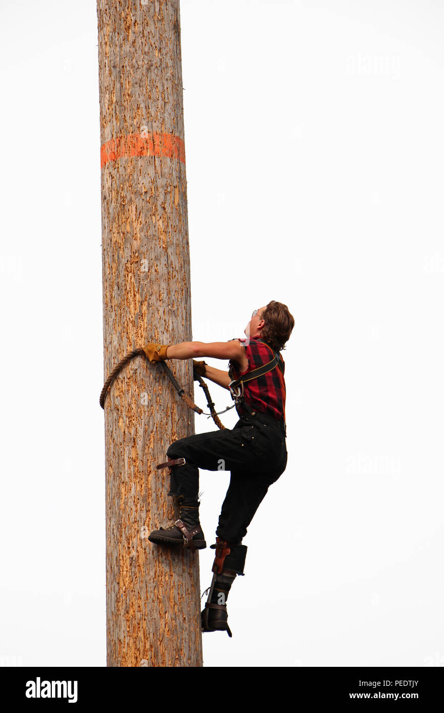 A lumberjack races up a pole in a competition Stock Photo Alamy