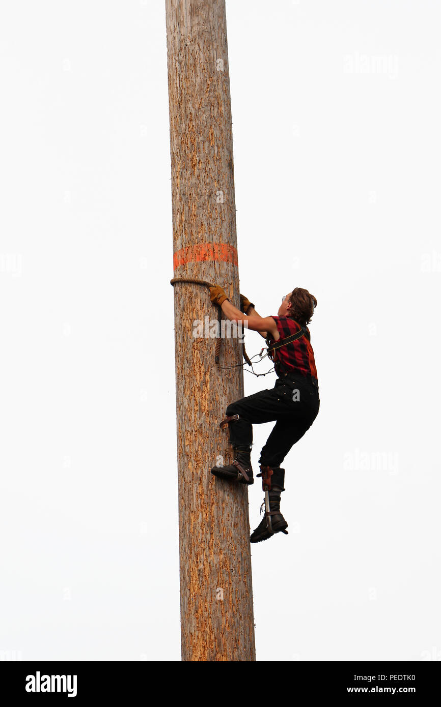 A lumberjack races up a pole in a competition Stock Photo Alamy