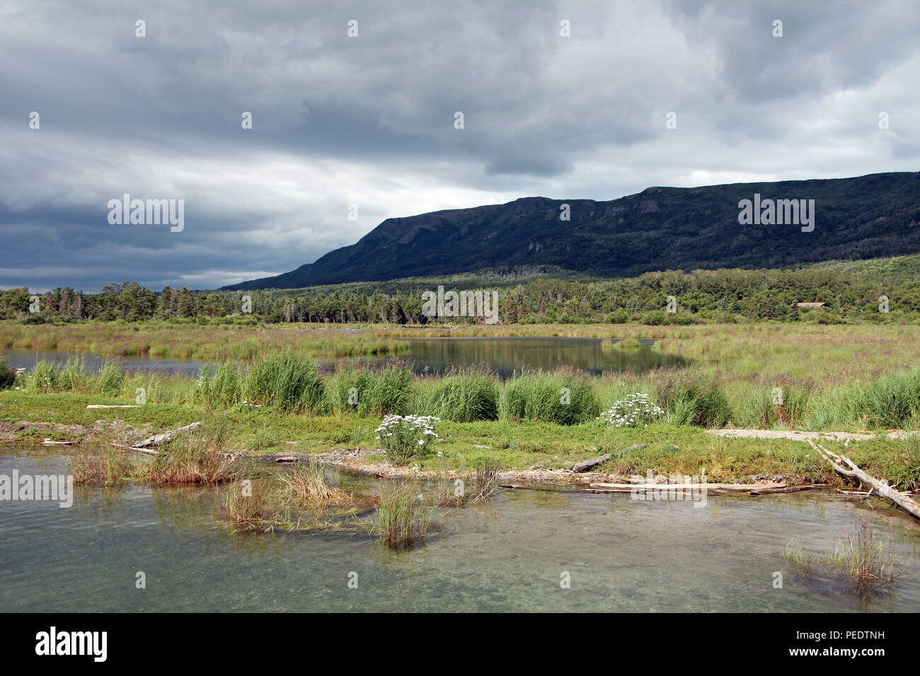 Beautiful landscape in Katmai National Park, Alaska Stock Photo