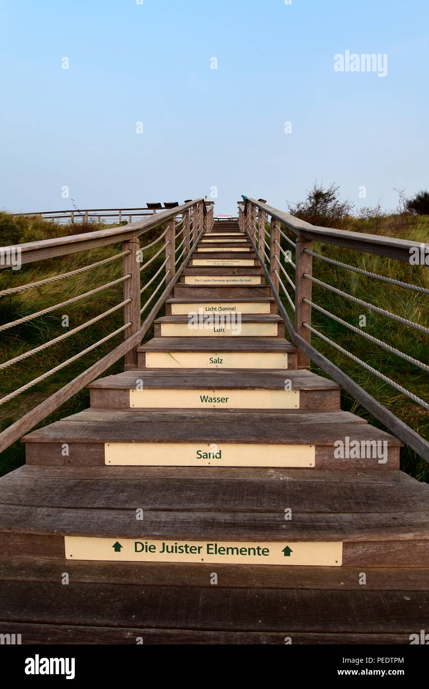 Otto Leege path, educational trail, Juist, National Park Wadden Sea, Lower  Saxony, East Frisian Island, Germany Stock Photo - Alamy