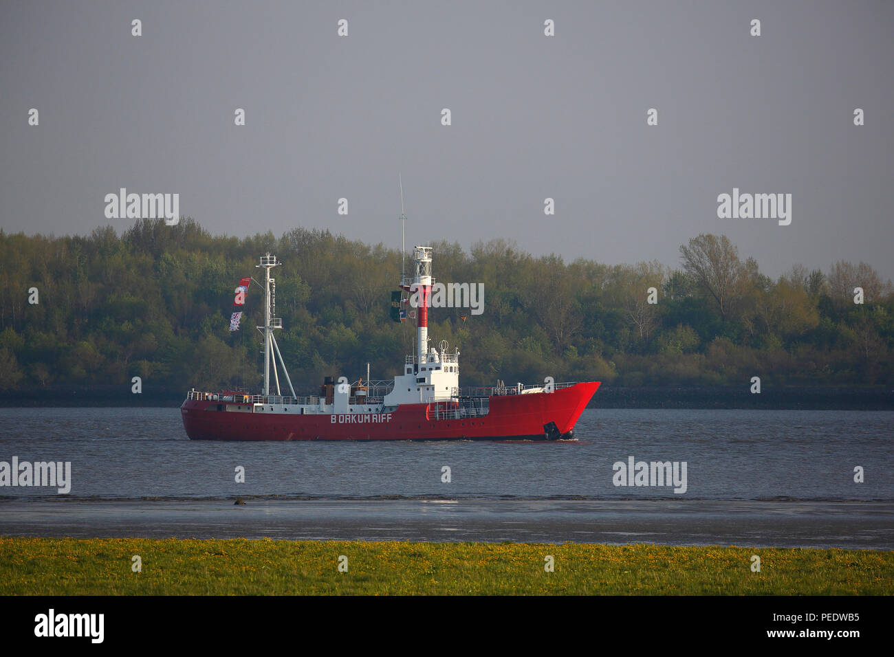 Feuerschiff Borkum Riff, auf der Elbe, Wedel, Schleswig-Holstein, Deutschland Stock Photo