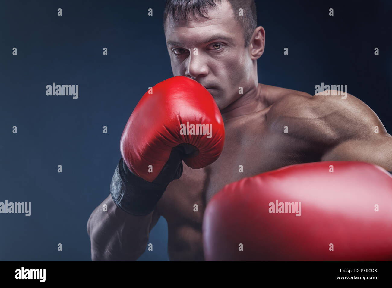 Boxing concept. Boxer with an aggressive look in red boxing gloves before a fight against a black background Stock Photo
