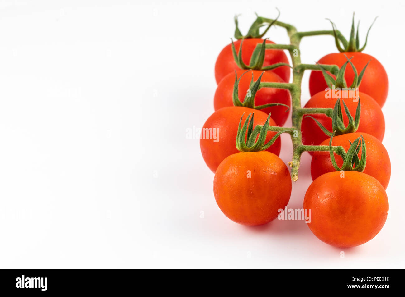 Tomatoes on the vine isolated on a white background Stock Photo - Alamy