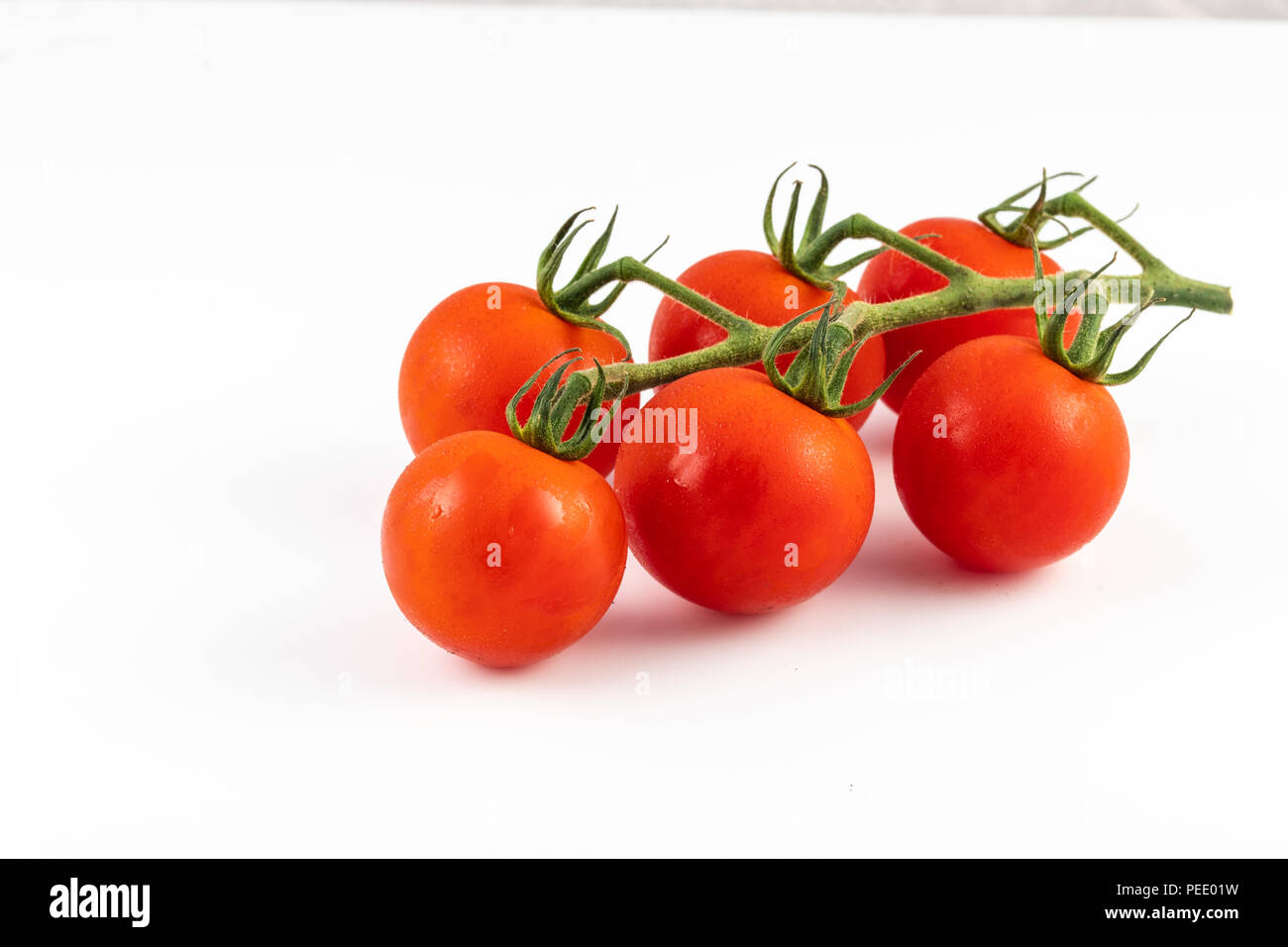 Tomatoes on the vine isolated on a white background Stock Photo - Alamy