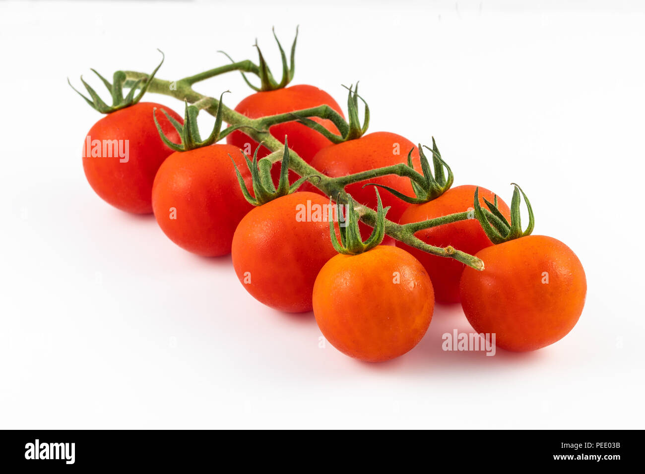 Tomatoes on the vine isolated on a white background Stock Photo - Alamy