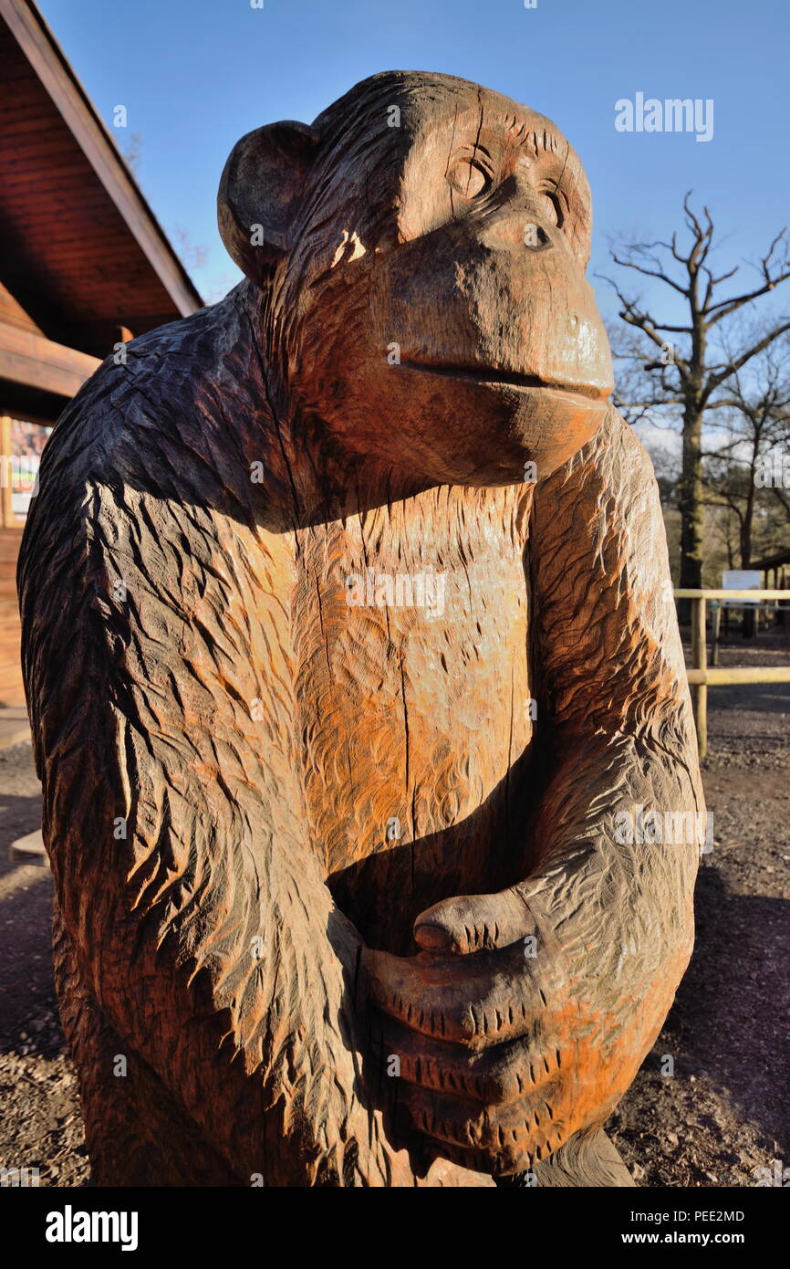 Trent park hires stock photography and images Alamy