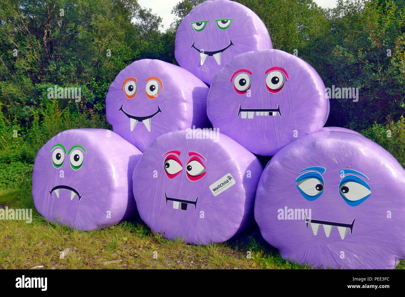 Purple hay bale wrap monsters, part of a charity partnership between WellChild and Carrs Billington Agriculture. Stock Photo