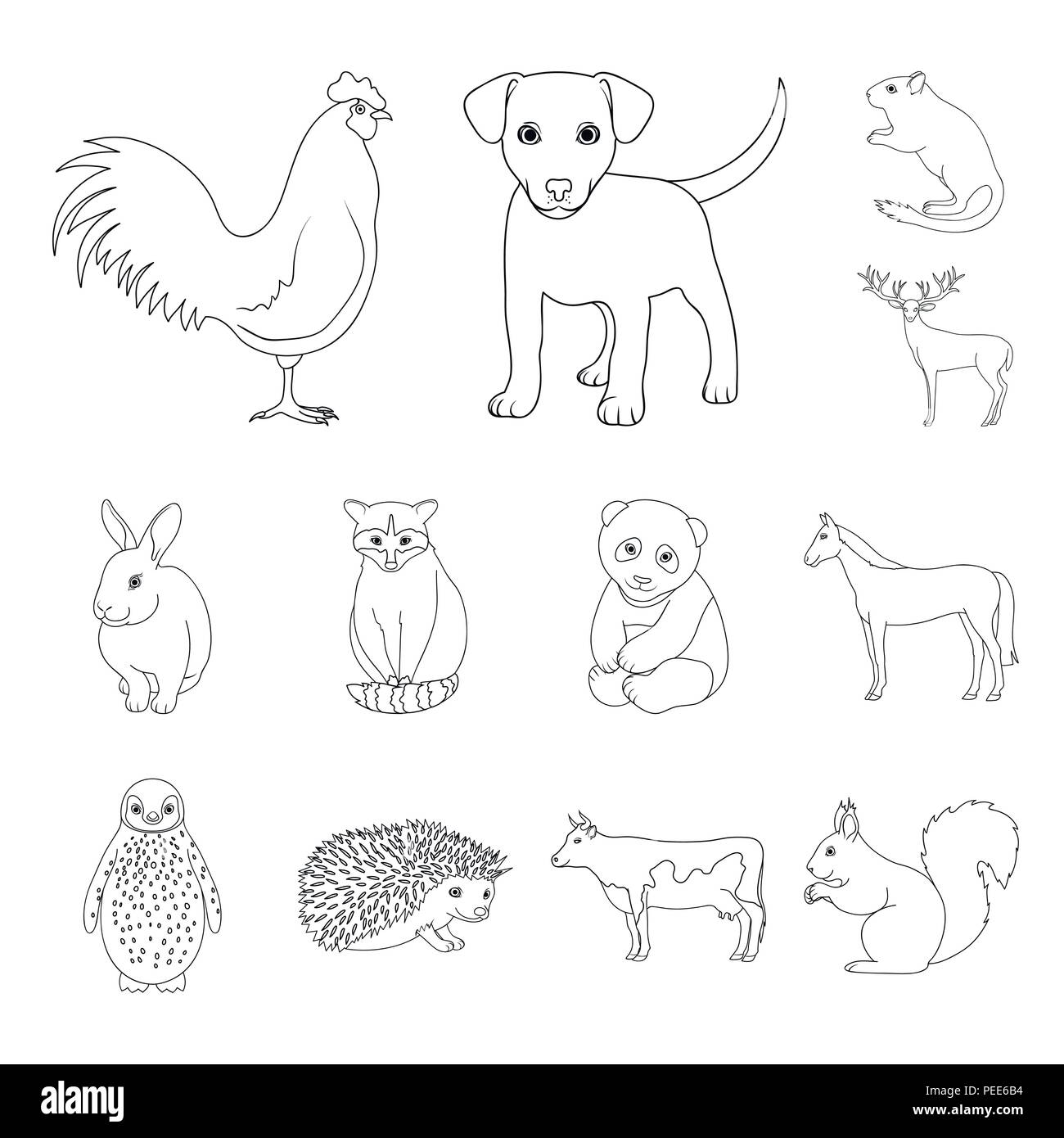 Realistic animals outline icons in set collection for design. Wild and domestic  animals vector symbol stock illustration Stock Vector Image & Art - Alamy