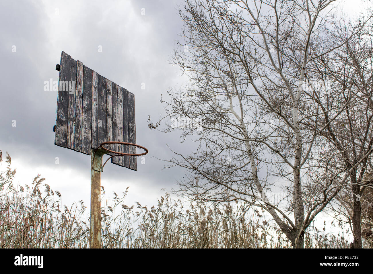 Old basketball backboard and basket. Deserted basketball backboard on a