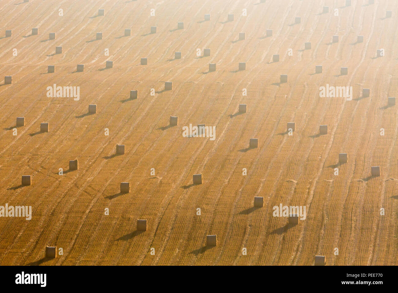 Bales after harvest on a stubble field Stock Photo - Alamy