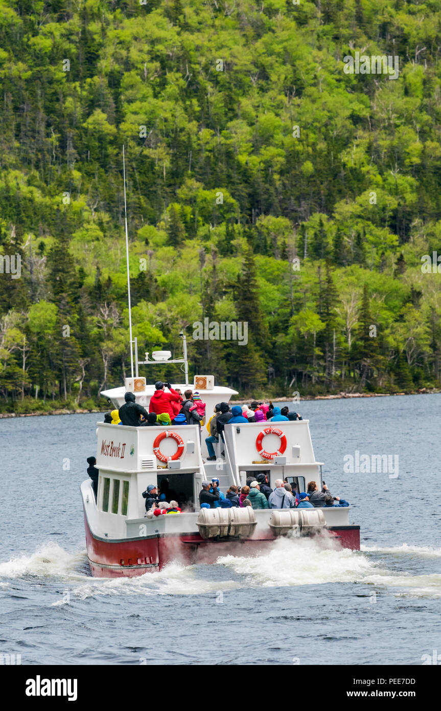 Tourists aboard the West Brook II for a waterfall & wildlife watching trip on Western Brook Pond in Gros Morne National Park, Newfoundland. Stock Photo