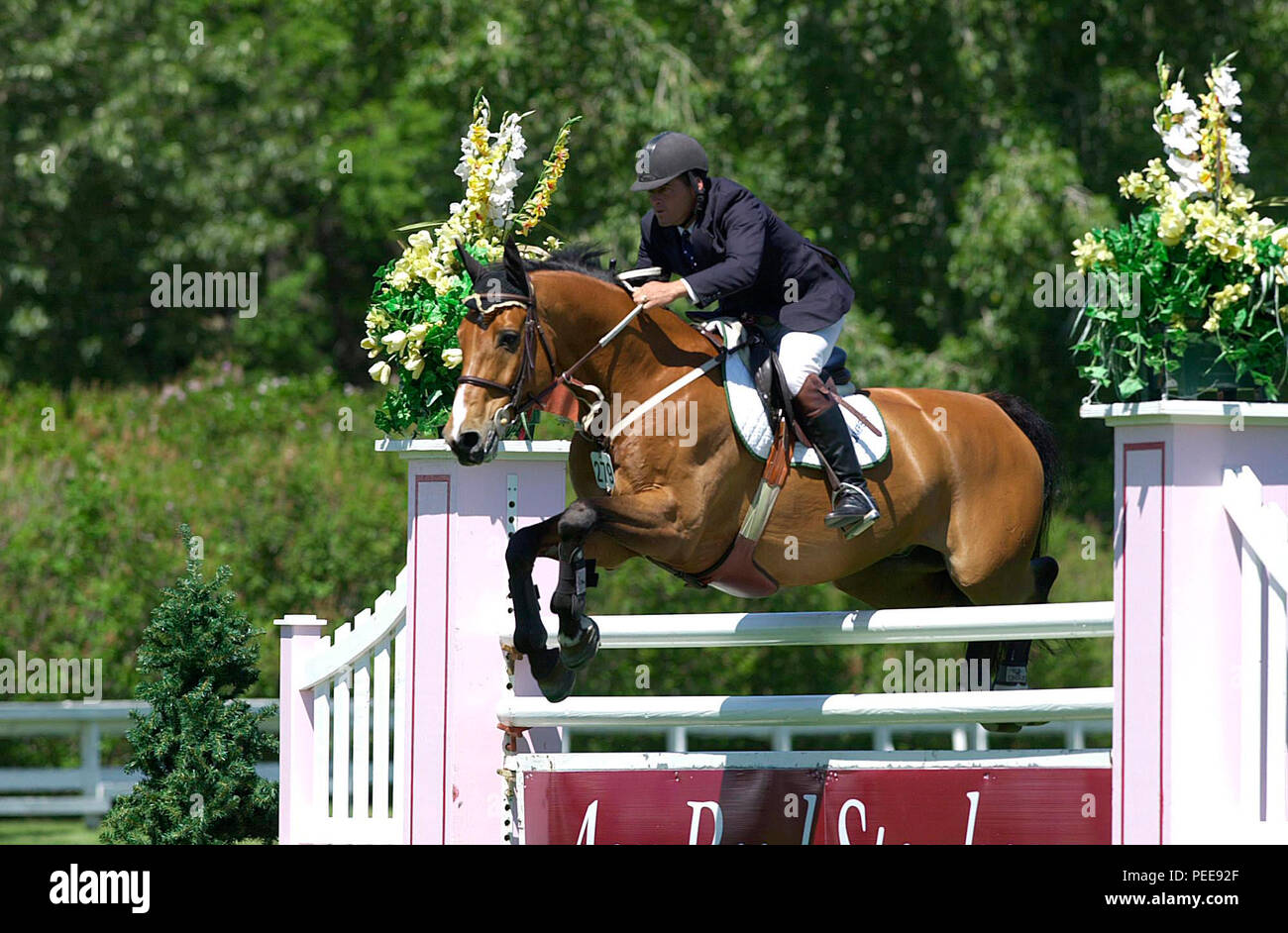The North American, Spruce Meadows, July 2001, Aon Reed Stenhouse, Will