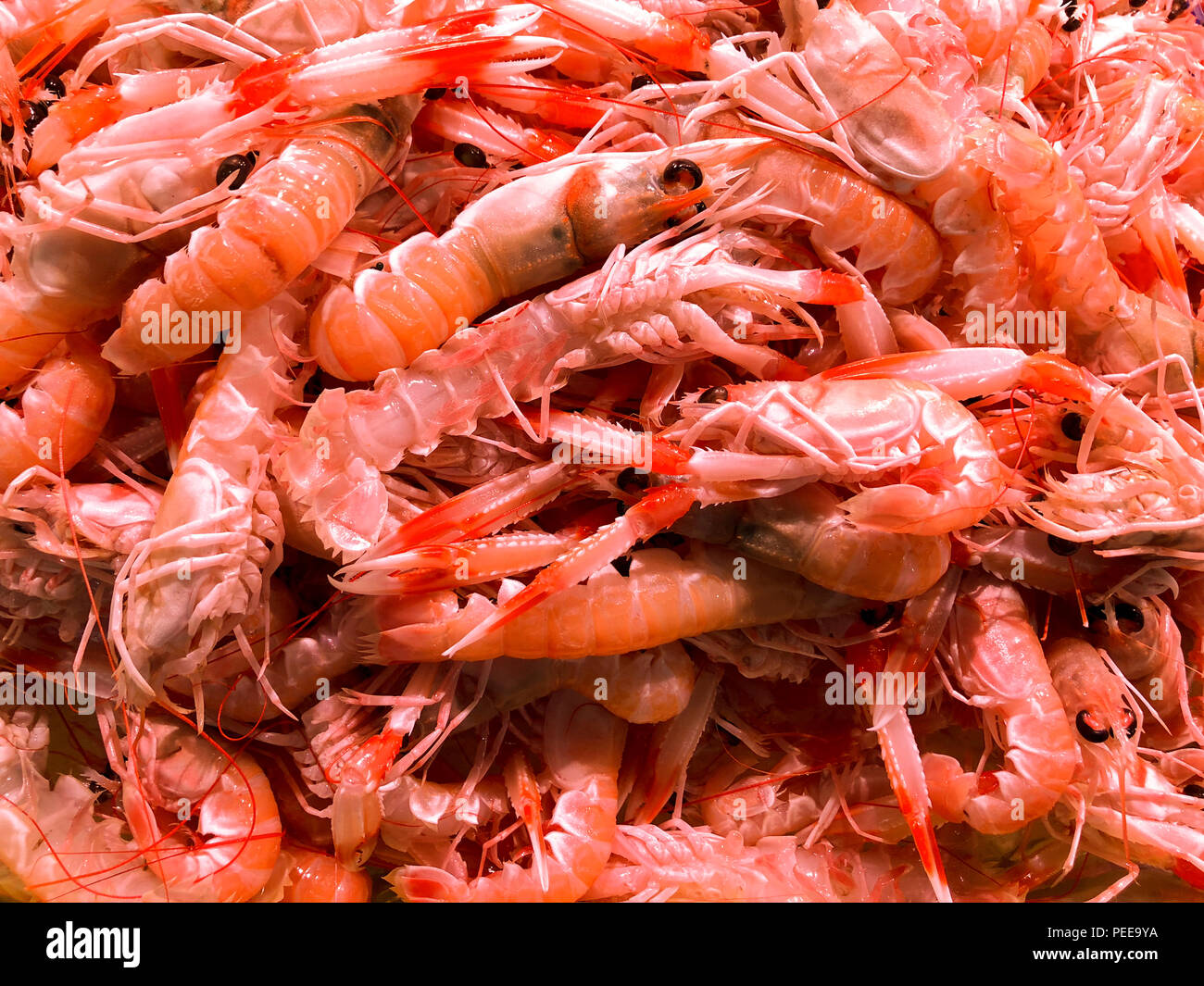 Crayfish (Nephrops Norvegicus) in a seafood market, Alicante city. Costa Blanca, Spain Stock Photo