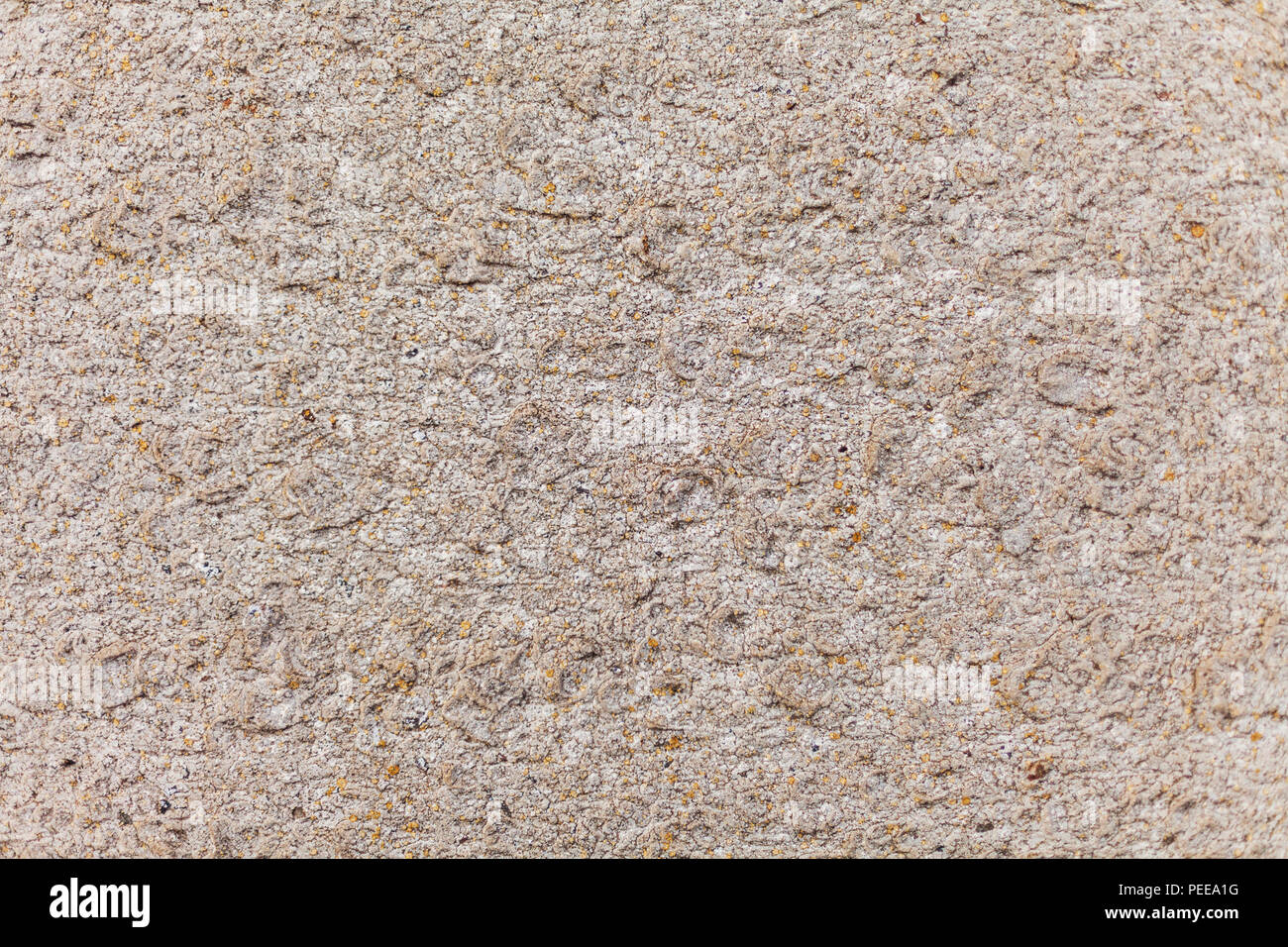 stone texture beige, yellow moss on stone Stock Photo