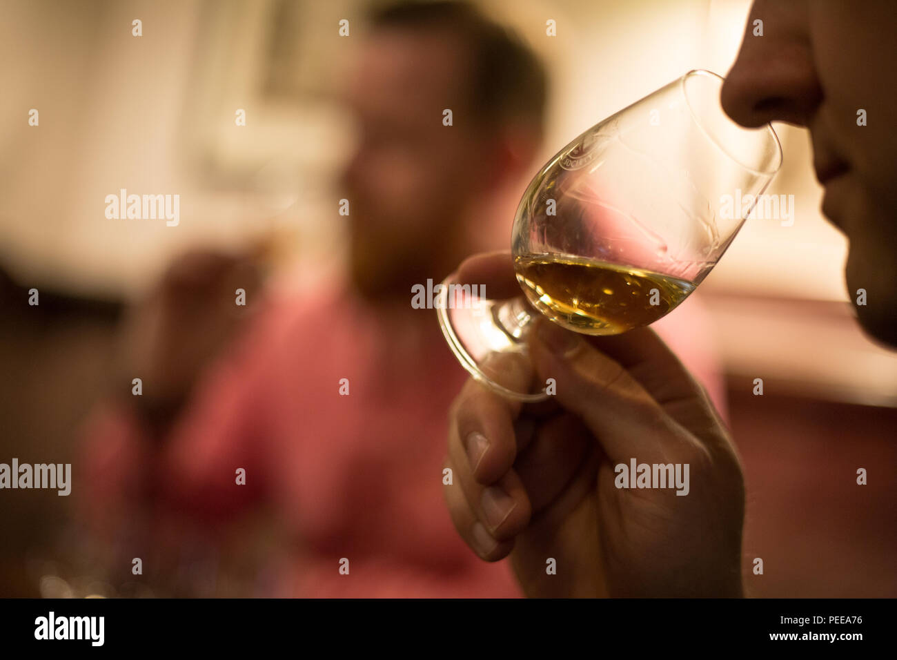 Scottish single malt whisky tasting session. Stock Photo
