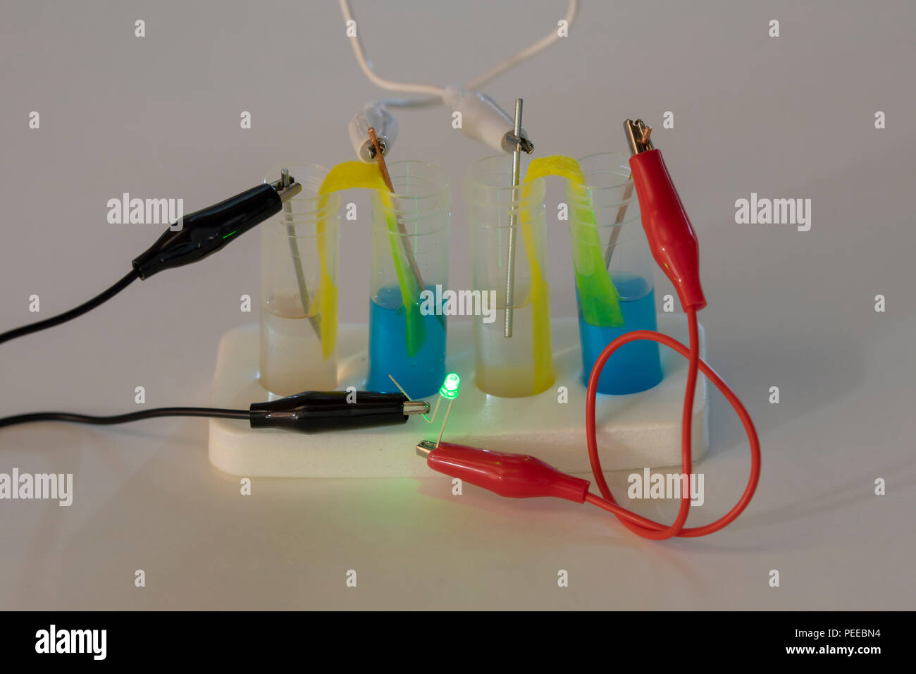 Close up of science experiment showing copper and zinc probes in four