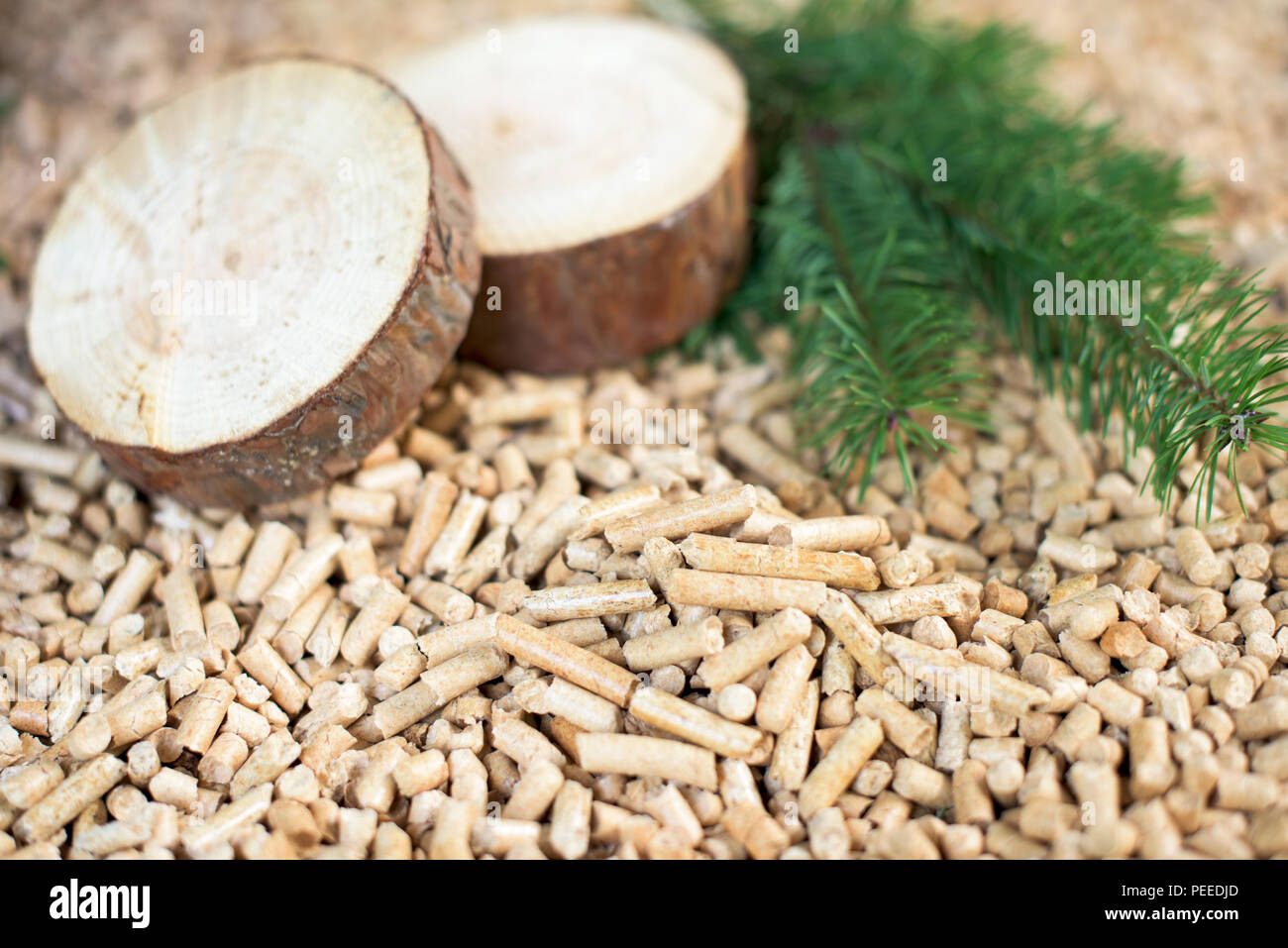 Close up of pine pellets and materials they made of Stock Photo Alamy