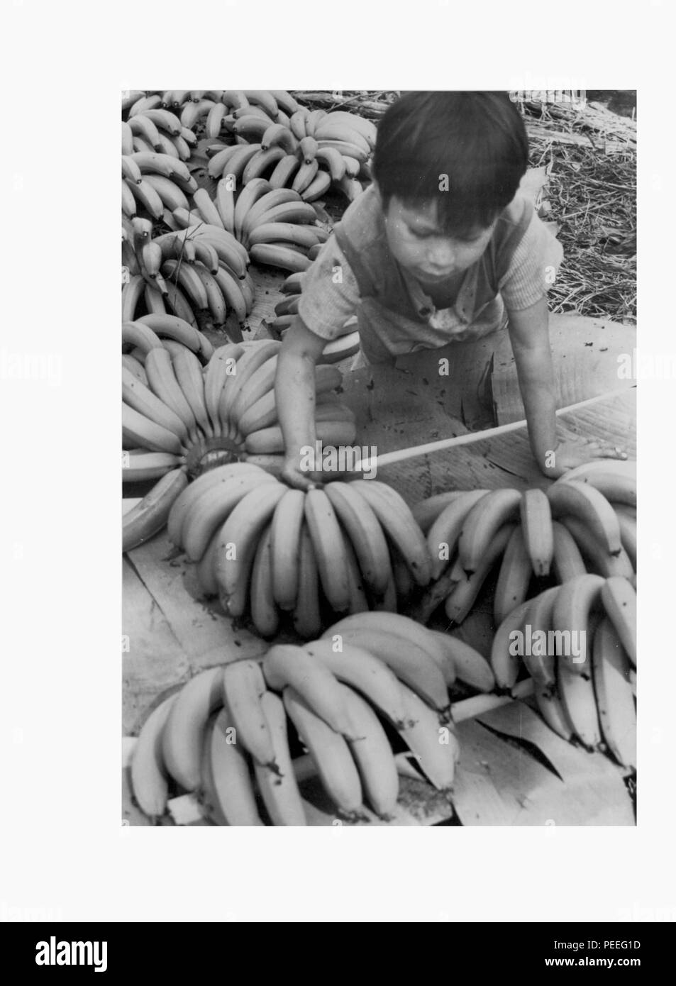 Child with bananas. Stock Photo