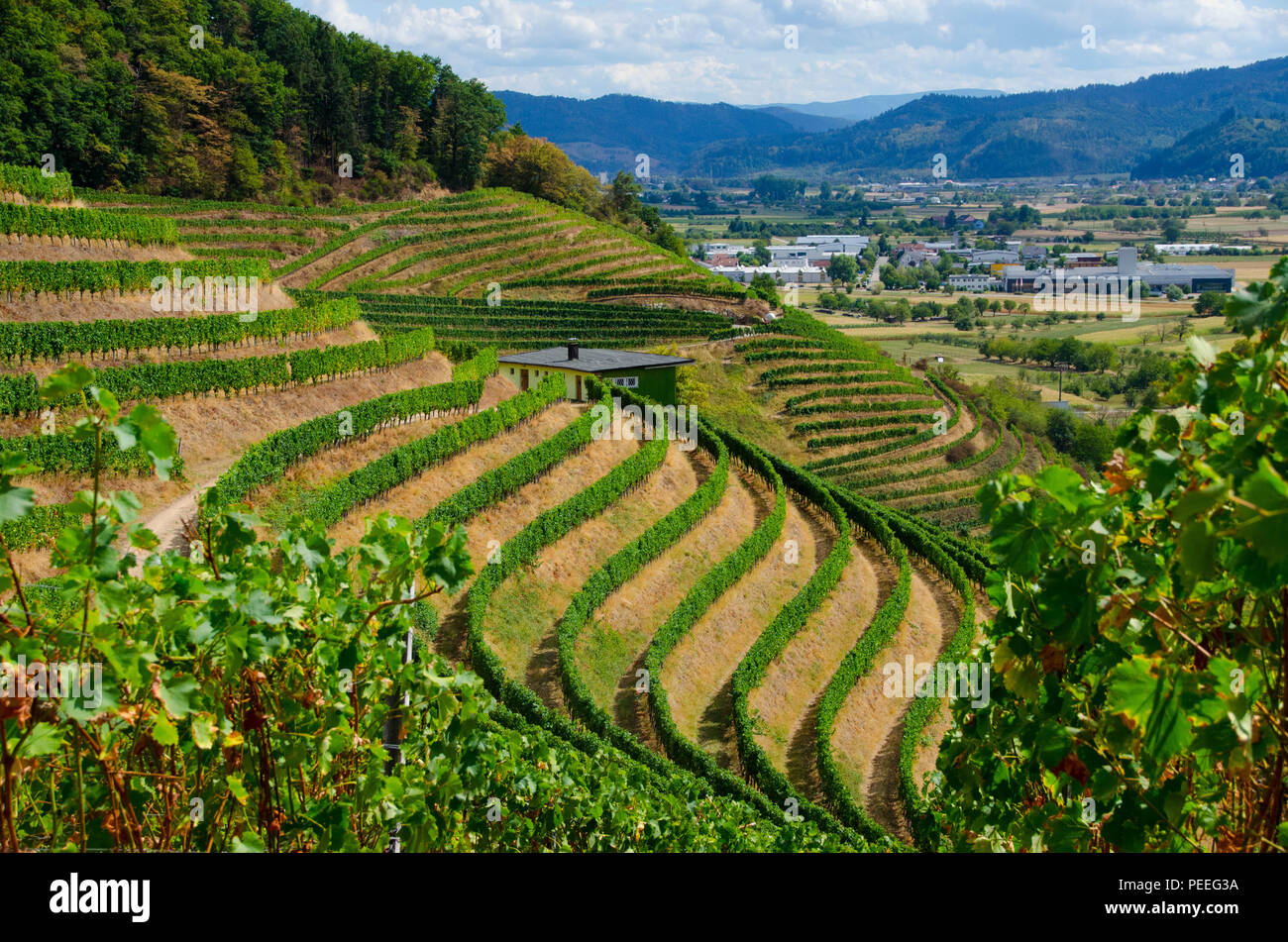 Netz Kinzigtal Kinzigtal hi-res stock photography and images - Alamy