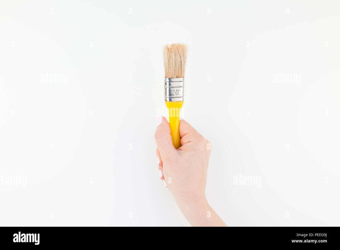 Creative image of woman hand holding new paint brush with copy space ...