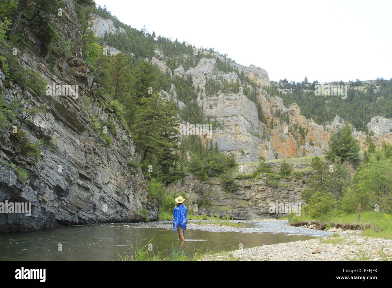 Woman wades the Tenderfoot River, Smith River State Park, Montana, USA Stock Photo