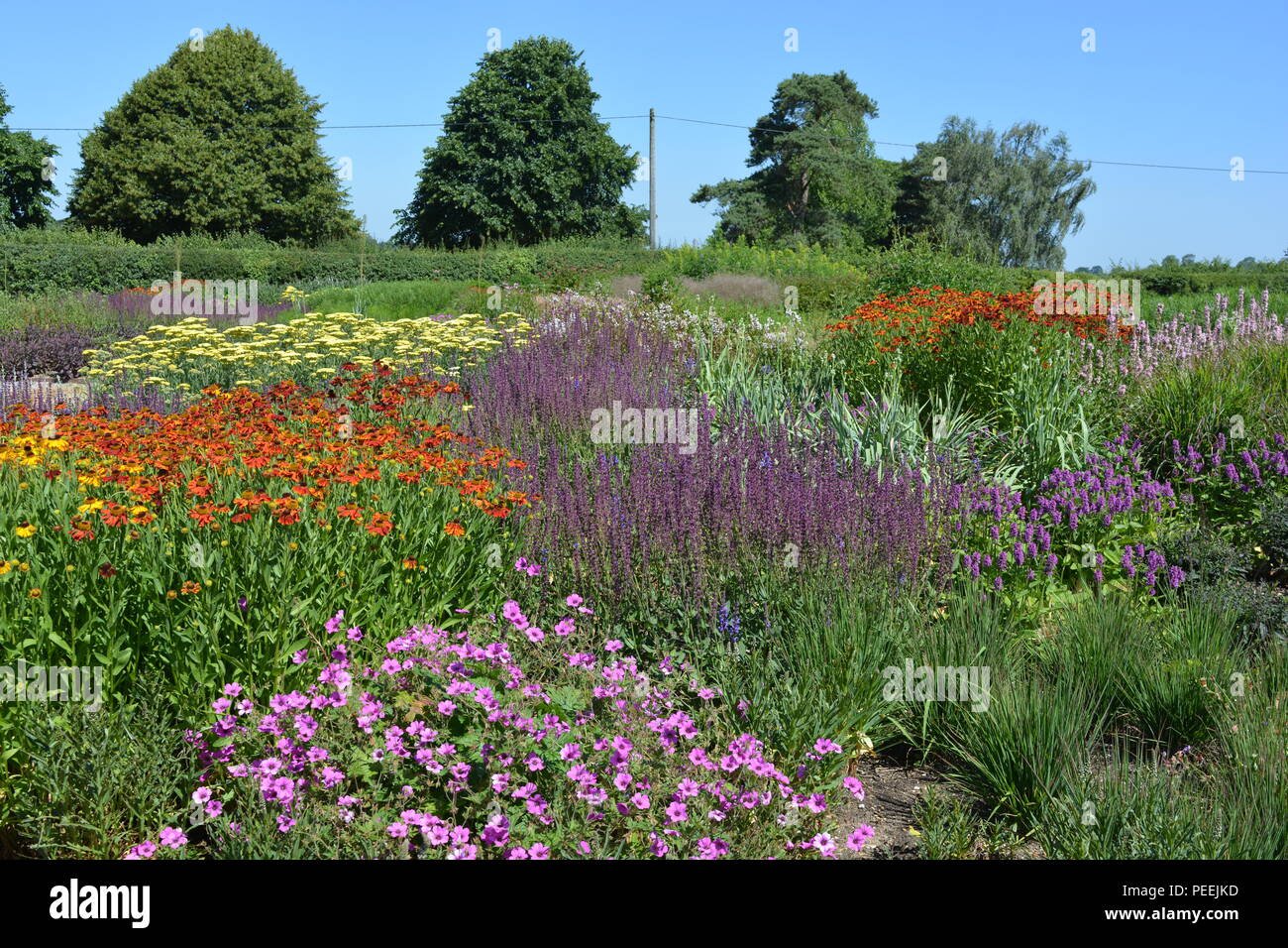 Oudolf's Fields, designed by Piet Oudolf, Hauser & Wirth, Bruton, Somerset, England Stock Photo