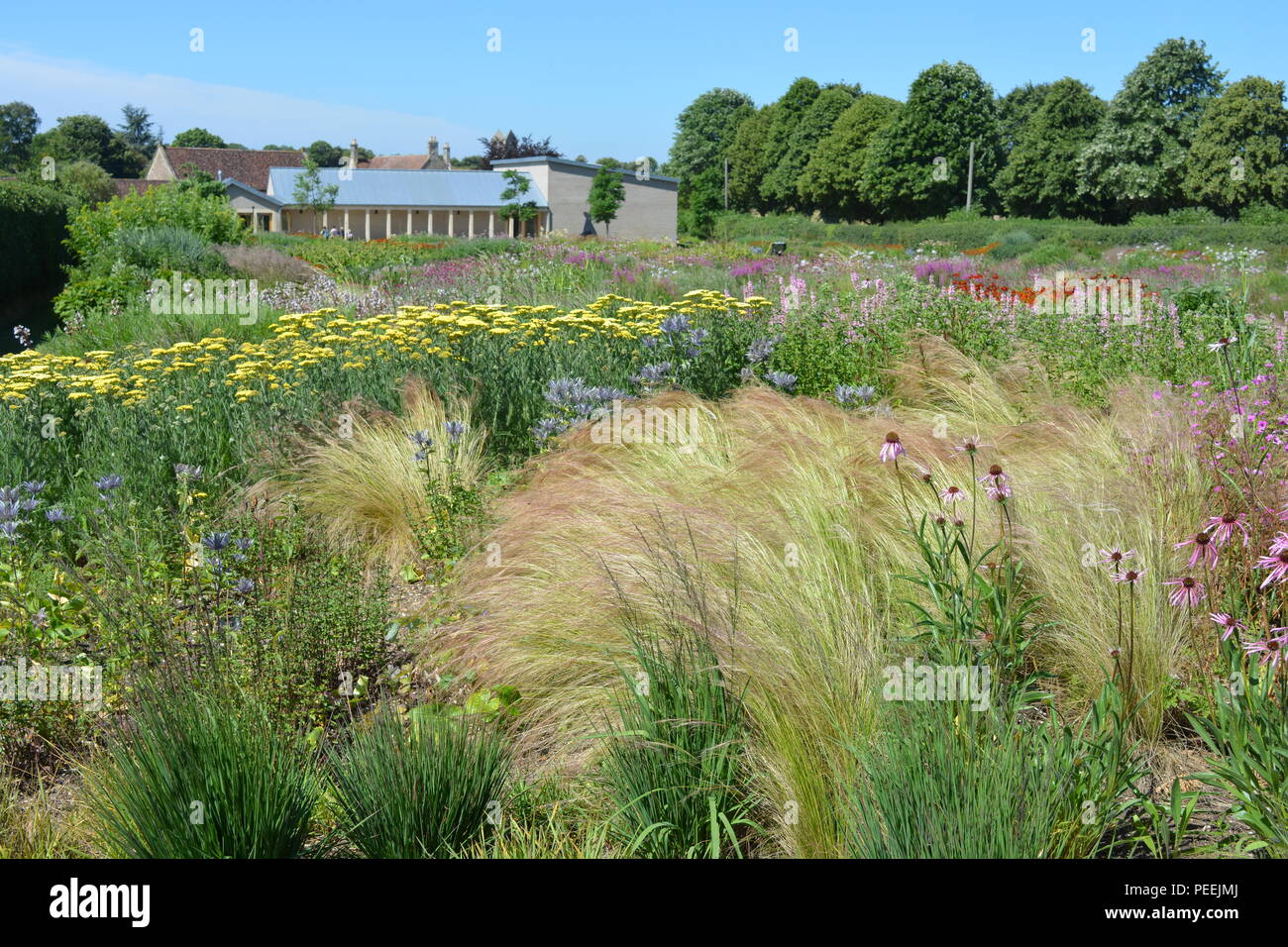 View across Oudolf Field designed by landscape architect Piet Oudolf to the main gallery building of Hauser & Wirth, Bruton, Somerset, England Stock Photo