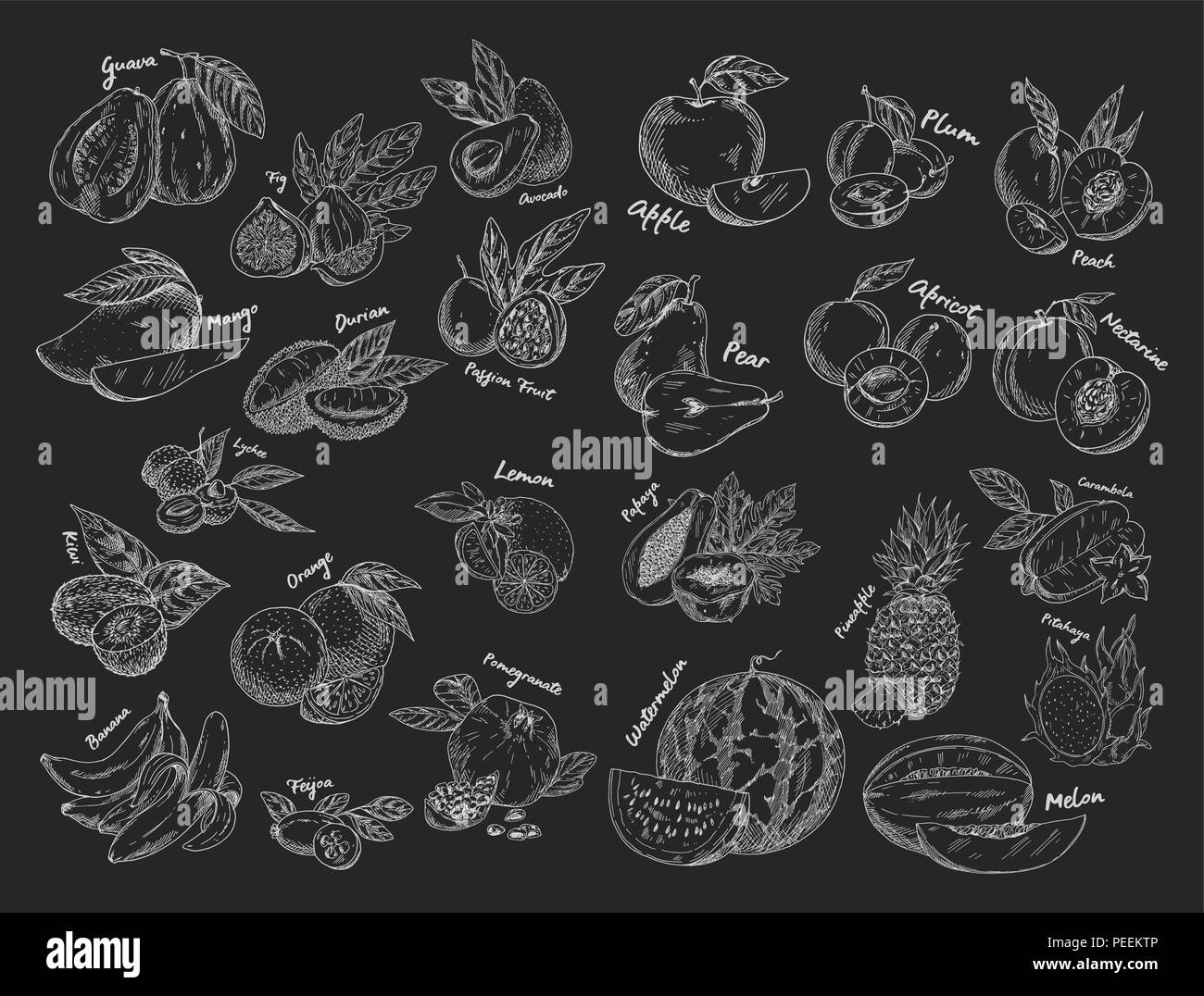 Set of isolated vegetarian food or fruits sketches. Avocado and apple, guava and fig, mango and durian, plum and peach, passion or dragon fruit, apricot and lemon, pineapple and watermelon. Harvest Stock Vector