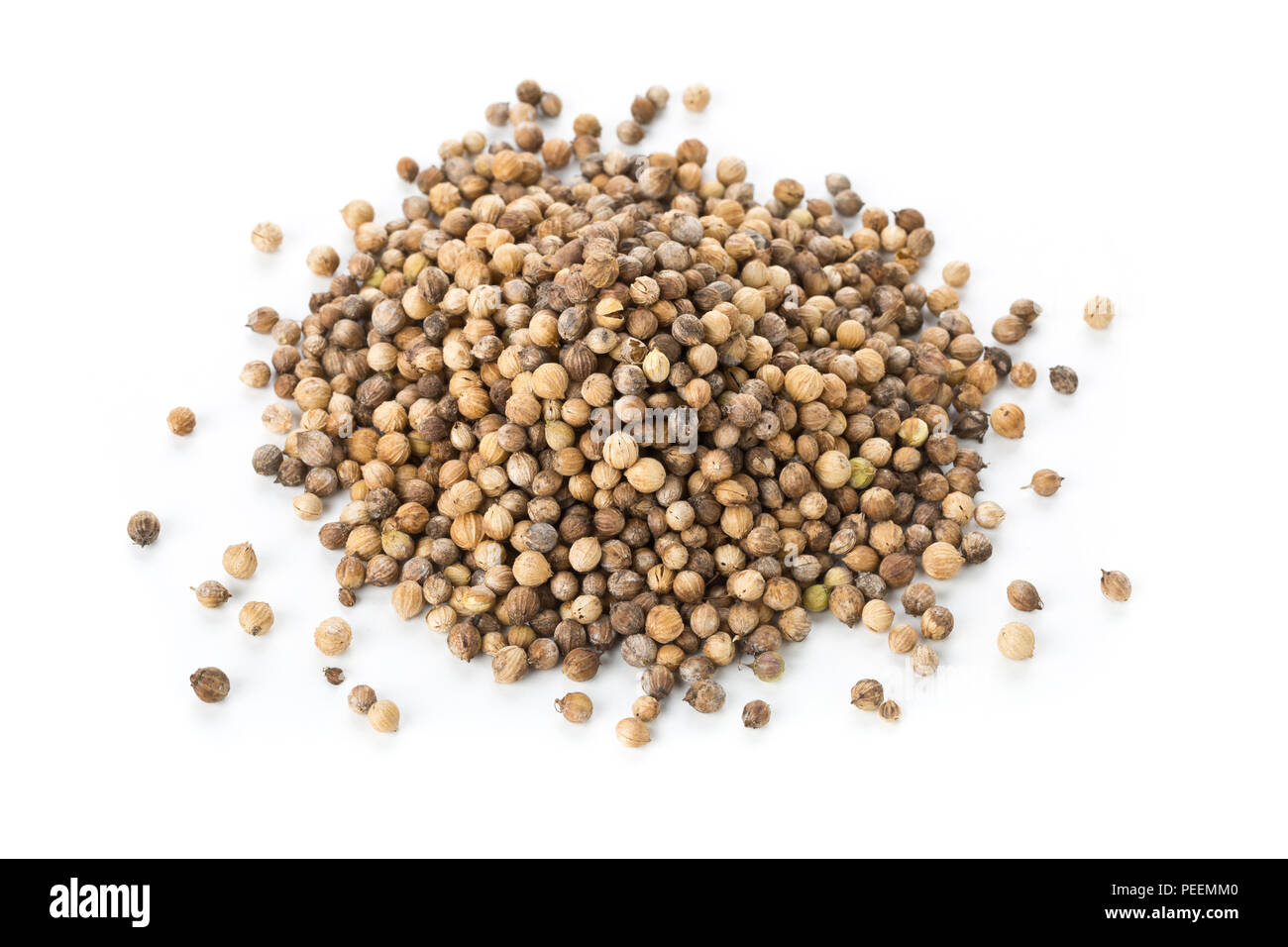Heap of raw, unprocessed organic coriander or cilantro seeds on white background Stock Photo