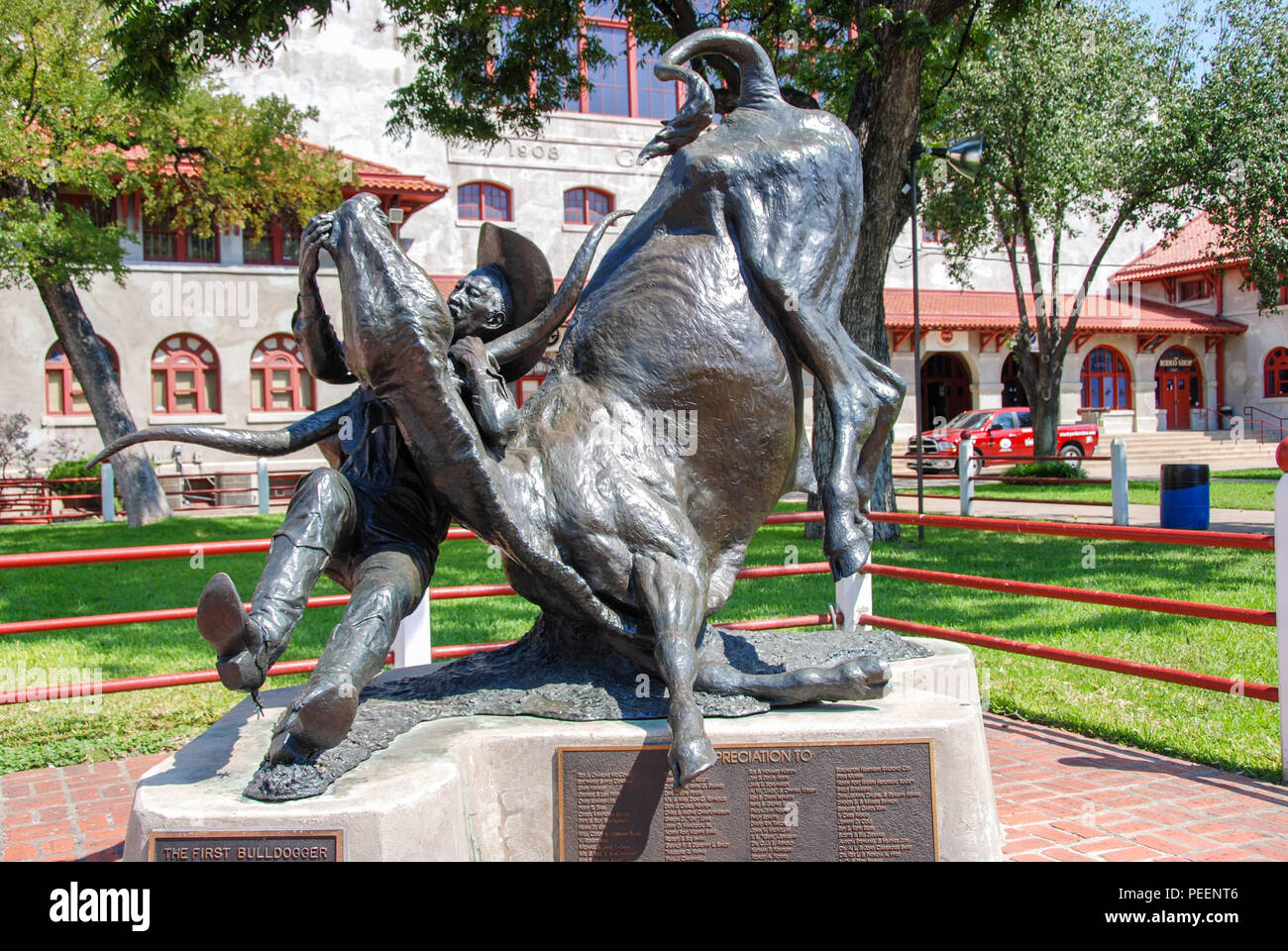 Statue of a cowboy wrestling’s a head of cattle at the Fort Worth Stockyards Stock Photo