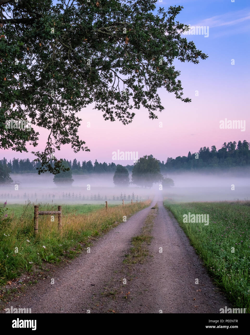 Summer night with fog and straight road in countryside, Finland Stock Photo