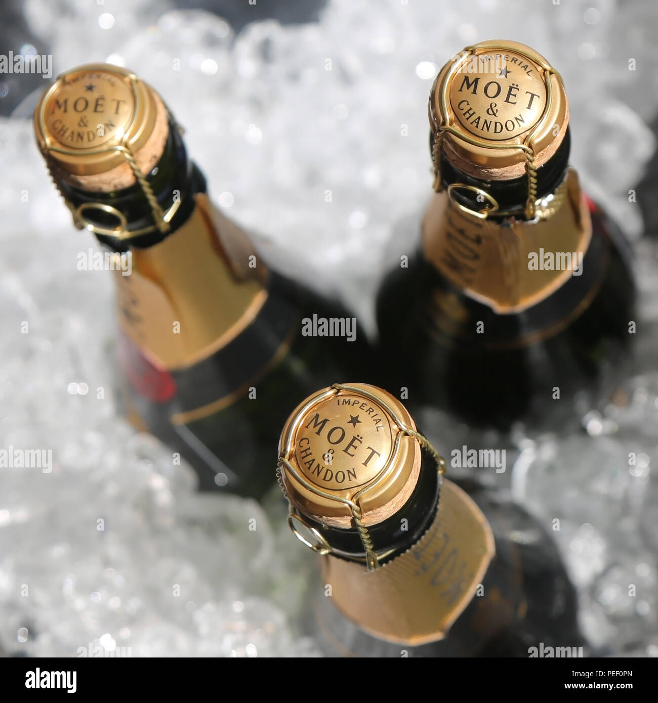 Champagne bottles in various sizes, Imperial, Moet et Chandon winery, LVMH  luxury goods group, Stock Photo, Picture And Rights Managed Image. Pic.  IBR-1962917
