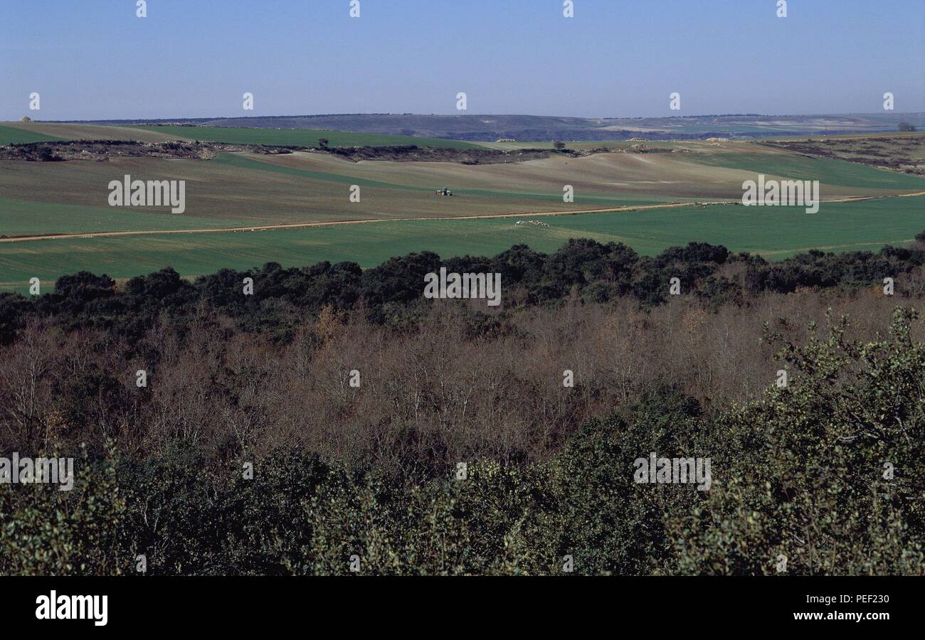 Campos de cultivo hi-res stock photography and images - Alamy