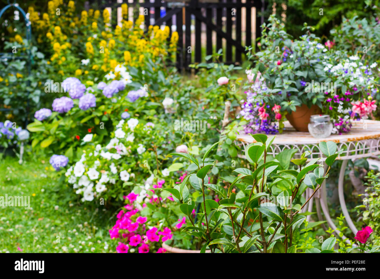 beautiful home garden with lots of blooming flowers, plants and